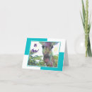 Zoek naar dierentuin kaarten Voor iedereen
