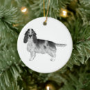 Zoek naar engelse cocker spaniel ornamenten Huisdier