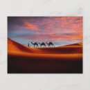 Zoek naar countries briefkaarten Desert