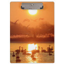 Zoek naar zwemmen klemborden Meer