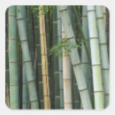 Zoek naar bamboe stickers Arashiyama