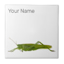 Zoek naar macro tegels Natuur