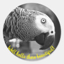 Zoek naar papegaaien stickers Voor haar