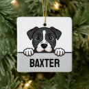Zoek naar american staffordshire terrier ornamenten Voor iedereen