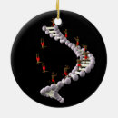 Zoek naar darwin ornamenten Evolutie