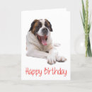 Zoek naar st bernard hond kaarten Pup