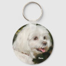 Zoek naar maltipoo accessoires Gezelschapsdieren