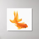 Zoek naar goudvis canvas prints Sinaasappel