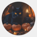 Zoek naar zwarte kat stickers Spookachtig