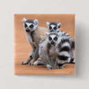 Zoek naar groep dieren buttons Natuur