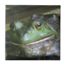 Zoek naar photo tegels Foto