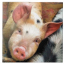 Zoek naar varkens tegels Schattig