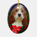 Zoek naar basset kerstdecoratie Vakantie