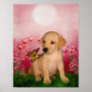 Zoek naar geel labrador posters Voor haar