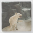 Zoek naar wolf onderzetters Wild