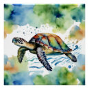 Zoek naar schildpadden posters Elk persoon