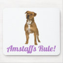 Zoek naar amstaff Staffordshire shier