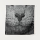 Zoek naar neus kunst Kat