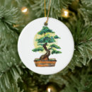 Zoek naar bonsai tree ornamenten Boom