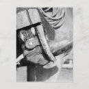 Zoek naar cowboys briefkaarten Elk persoon