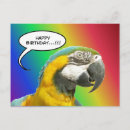 Zoek naar regenboog vogel kaarten Elk persoon