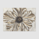 Zoek naar grijs tissue papier Botanisch