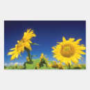 Zoek naar bloem lucht stickers Wolken