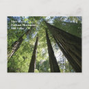 Zoek naar national monument briefkaarten Redwood