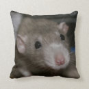 Zoek naar ratten kussens Dier