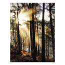 Zoek naar herfst bos posters Fotografie