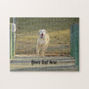 Zoek naar labrador retriever puzzels Huisdier