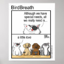 Zoek naar speciale behoeften posters Dieren