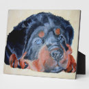Zoek naar rottweiler fotoplaat Dier