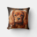 Zoek naar spanielen kussens Cavalier koning charles spaniel