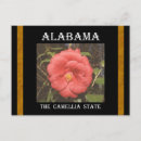 Zoek naar alabama briefkaarten Camellia