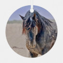 Zoek naar hengst ornamenten Wild