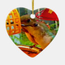 Zoek naar voeder ornamenten Vogel