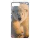 Zoek naar ijsbeer iphone hoesjes Fauna