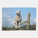 Zoek naar schapen keuken handdoeken Lammeren