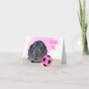Zoek naar cavia kaarten Roze