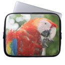 Zoek naar papegaai laptop sleeves Parkiet
