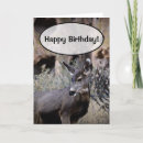 Zoek naar outdoorsman posters Natuur