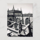 Zoek naar spinnen briefkaarten Elk persoon