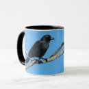 Zoek naar kraai mokken Vogel