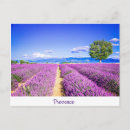 Zoek naar provence briefkaarten Vakantie