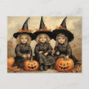 Zoek naar heksen briefkaarten Halloween