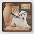 Zoek naar kitten klokken Humor