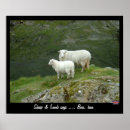 Zoek naar lam posters Schaap