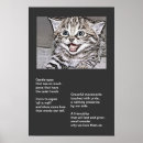 Zoek naar kattenkunst posters Kitten
