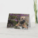 Zoek naar heide kaarten Voor iedereen